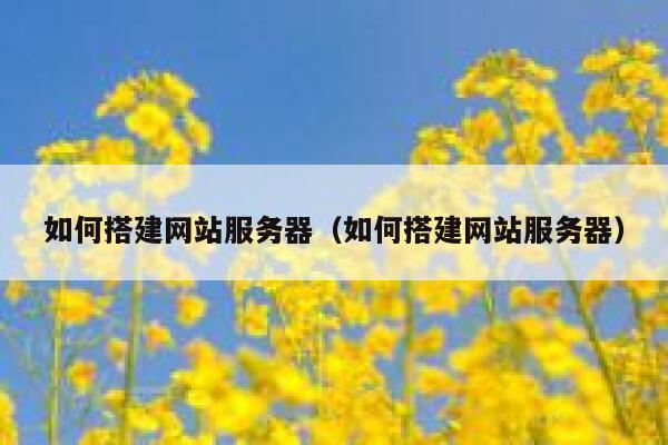 如何搭建网站服务器（如何搭建网站服务器） 第1张