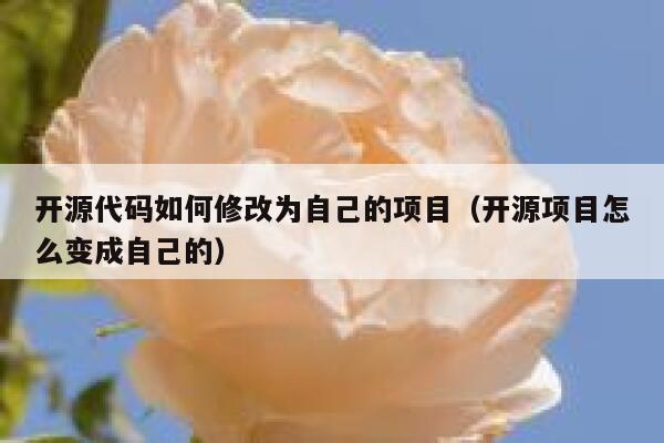 开源代码如何修改为自己的项目（开源项目怎么变成自己的） 第1张