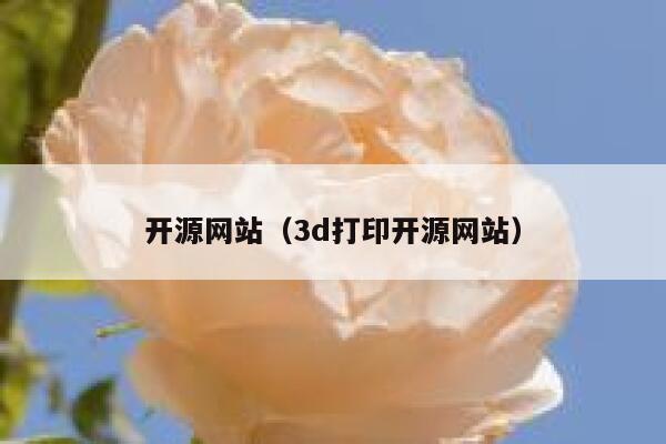 开源网站（3d打印开源网站） 第1张