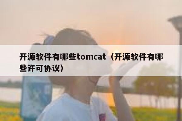 开源软件有哪些tomcat（开源软件有哪些许可协议） 第1张