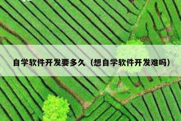 自学软件开发要多久（想自学软件开发难吗） 第1张