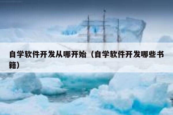 自学软件开发从哪开始（自学软件开发哪些书籍） 第1张