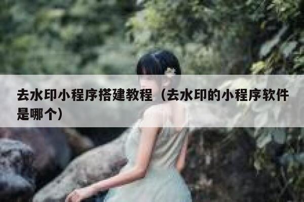 去水印小程序搭建教程（去水印的小程序软件是哪个） 第1张