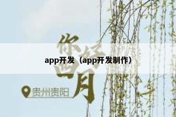 app开发（app开发制作） 第1张