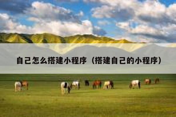 自己怎么搭建小程序（搭建自己的小程序） 第1张