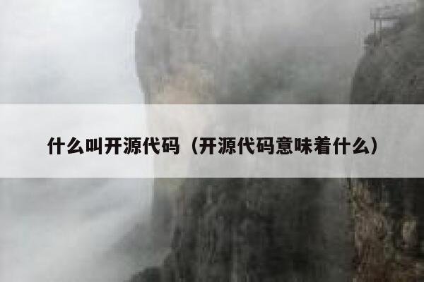 什么叫开源代码（开源代码意味着什么） 第1张