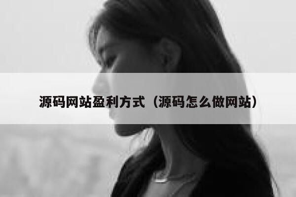 源码网站盈利方式（源码怎么做网站） 第1张