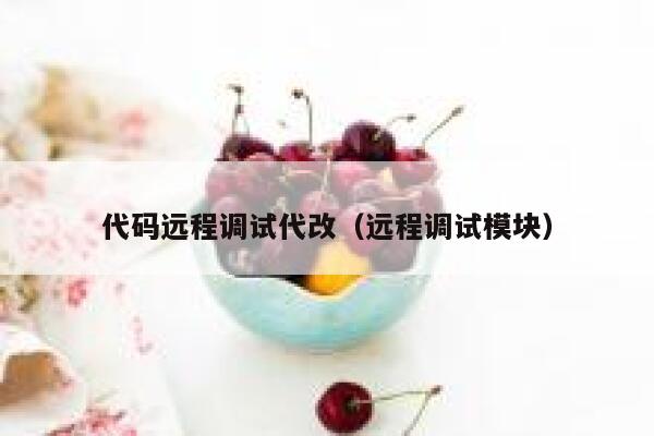 代码远程调试代改（远程调试模块） 第1张