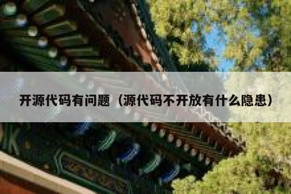开源代码有问题（源代码不开放有什么隐患） 第1张