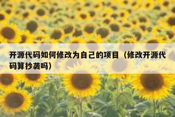 开源代码如何修改为自己的项目（修改开源代码算抄袭吗） 第1张