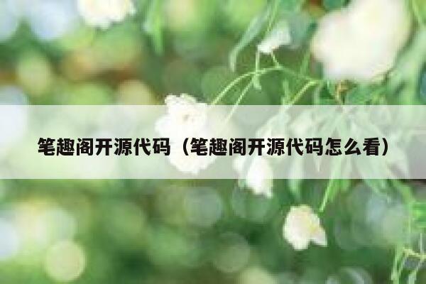 笔趣阁开源代码（笔趣阁开源代码怎么看） 第1张