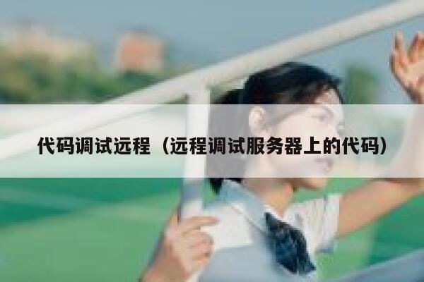 代码调试远程（远程调试服务器上的代码） 第1张