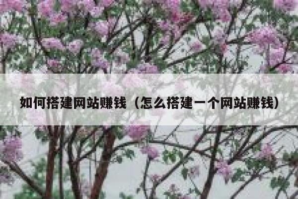 如何搭建网站赚钱（怎么搭建一个网站赚钱） 第1张