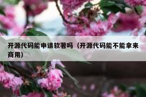 开源代码能申请软著吗（开源代码能不能拿来商用） 第1张