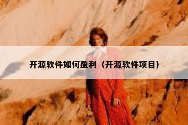 开源软件如何盈利（开源软件项目） 第1张
