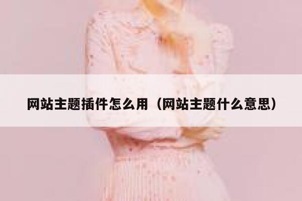 网站主题插件怎么用（网站主题什么意思） 第1张