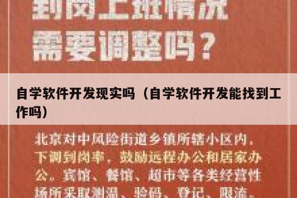 自学软件开发现实吗（自学软件开发能找到工作吗） 第1张
