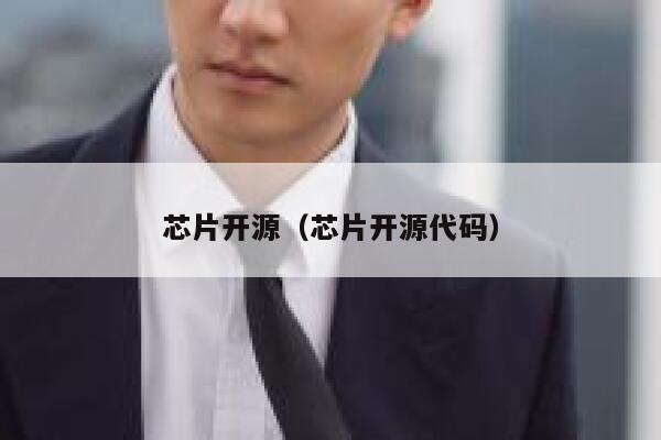 芯片开源（芯片开源代码） 第1张