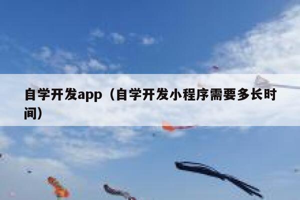自学开发app（自学开发小程序需要多长时间） 第1张