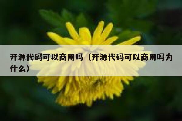 开源代码可以商用吗（开源代码可以商用吗为什么） 第1张