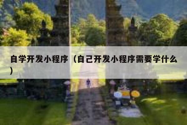 自学开发小程序（自己开发小程序需要学什么） 第1张