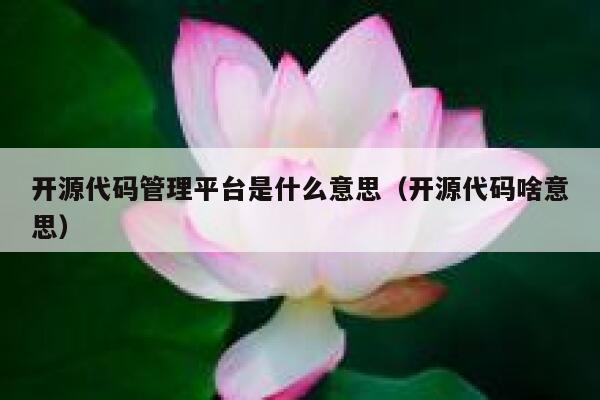 开源代码管理平台是什么意思（开源代码啥意思） 第1张