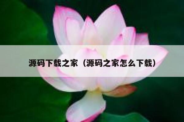 源码下载之家（源码之家怎么下载） 第1张