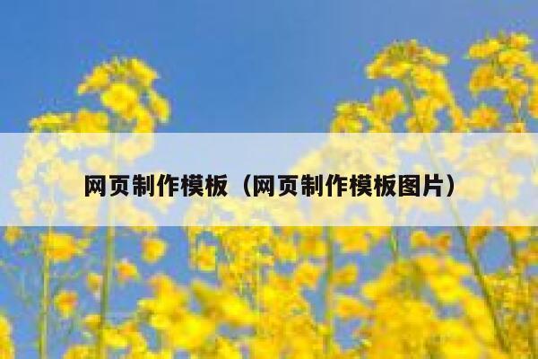 网页制作模板（网页制作模板图片） 第1张
