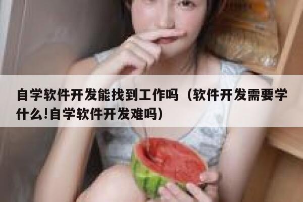 自学软件开发能找到工作吗（软件开发需要学什么!自学软件开发难吗） 第1张