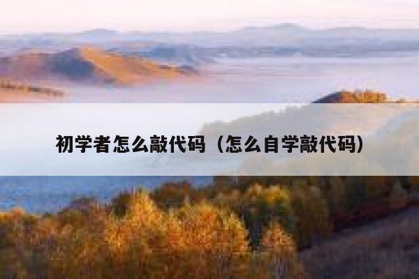 初学者怎么敲代码（怎么自学敲代码） 第1张