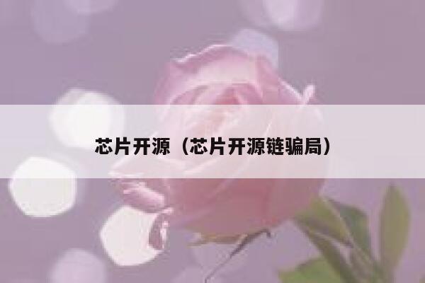 芯片开源（芯片开源链骗局） 第1张