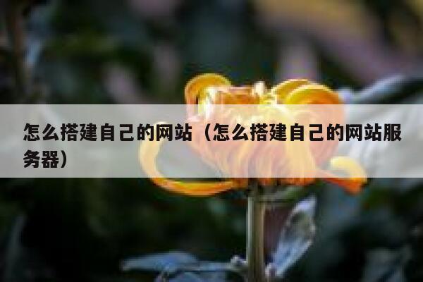 怎么搭建自己的网站（怎么搭建自己的网站服务器） 第1张
