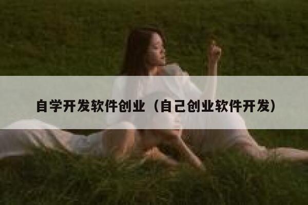 自学开发软件创业（自己创业软件开发） 第1张