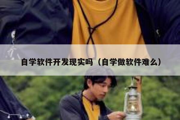 自学软件开发现实吗（自学做软件难么） 第1张