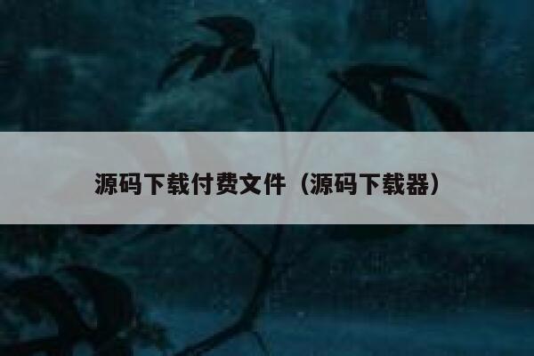 源码下载付费文件（源码下载器） 第1张
