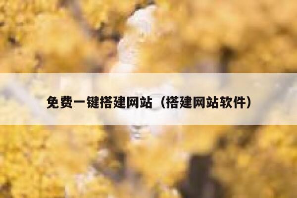 免费一键搭建网站（搭建网站软件） 第1张