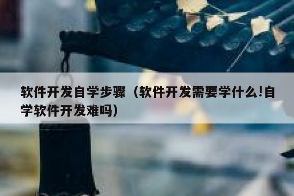 软件开发自学步骤（软件开发需要学什么!自学软件开发难吗） 第1张