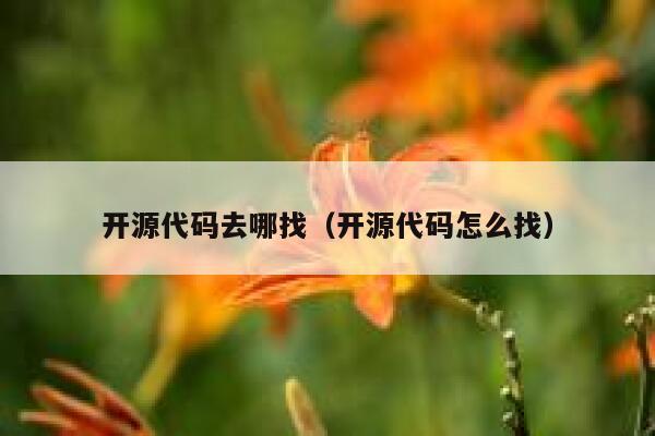 开源代码去哪找（开源代码怎么找） 第1张