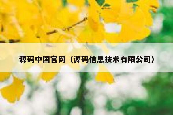 源码中国官网（源码信息技术有限公司） 第1张