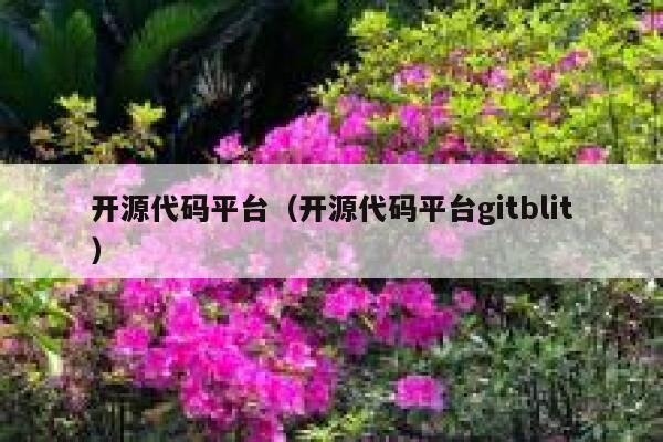 开源代码平台（开源代码平台gitblit） 第1张