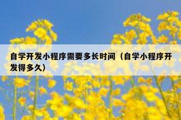 自学开发小程序需要多长时间（自学小程序开发得多久） 第1张