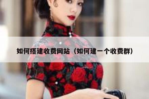 如何搭建收费网站（如何建一个收费群） 第1张