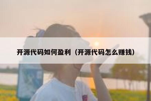 开源代码如何盈利（开源代码怎么赚钱） 第1张