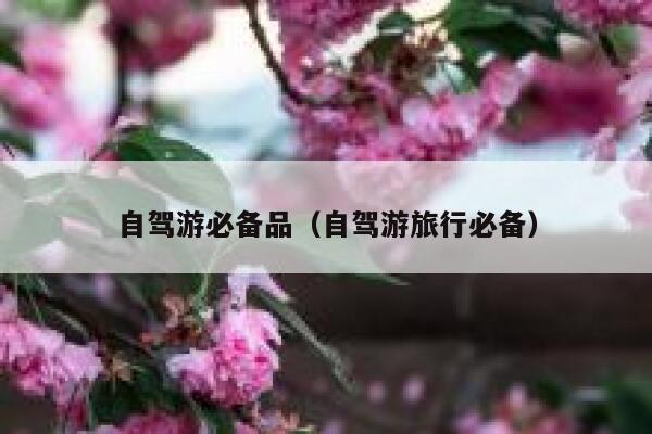 自驾游必备品（自驾游旅行必备） 第1张