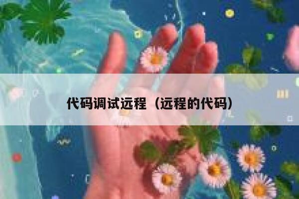 代码调试远程（远程的代码） 第1张