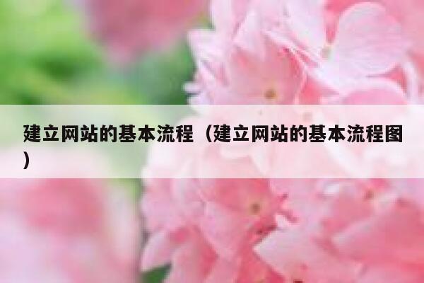 建立网站的基本流程（建立网站的基本流程图） 第1张