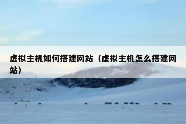 虚拟主机如何搭建网站（虚拟主机怎么搭建网站） 第1张