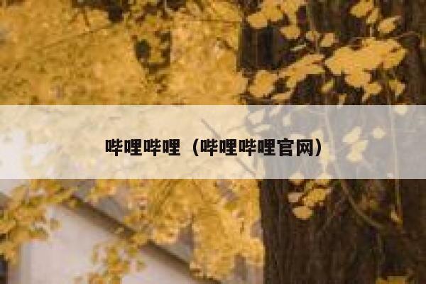 哔哩哔哩（哔哩哔哩官网） 第1张