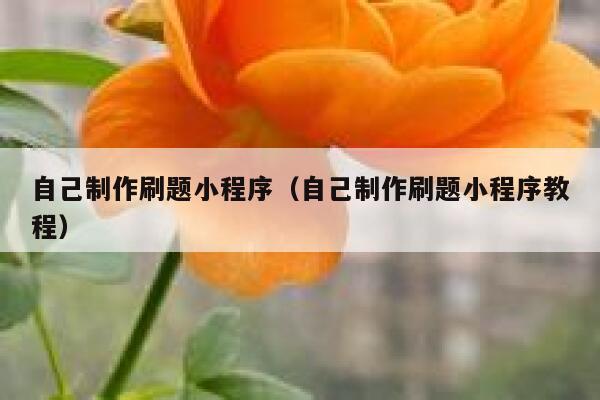 自己制作刷题小程序（自己制作刷题小程序教程） 第1张