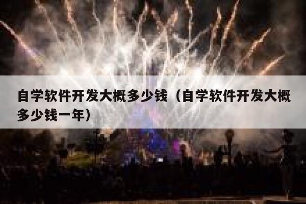 自学软件开发大概多少钱（自学软件开发大概多少钱一年） 第1张